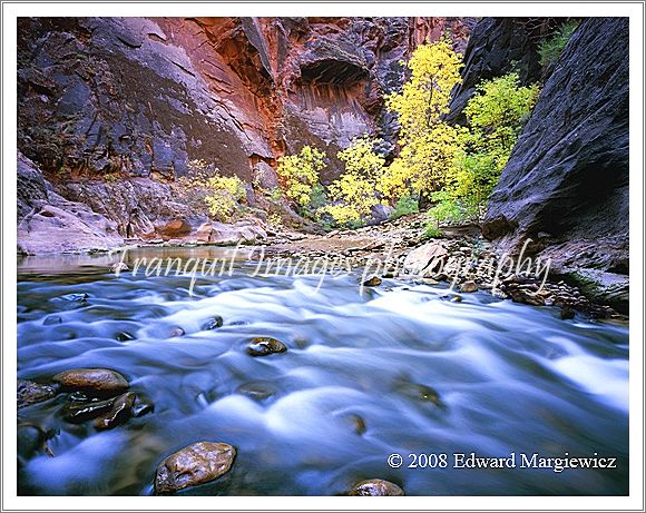 450569D   The Zion Narrows